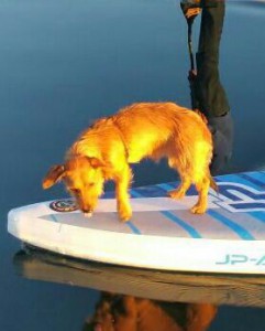 Doc's Tierleben. Fotos: Doc Knotz