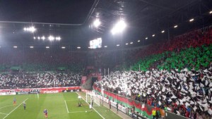 fcnmaul12-2016