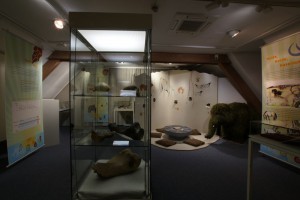 museum2016-1