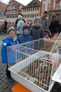 osterbrunnnen2016-4