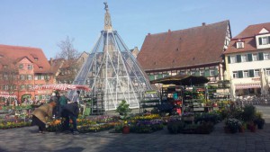Blumenpracht rund um den Marktplatz. Fotos: Hertlein