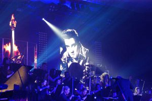 rockmeets2016-3 hertlein