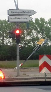 Leicht geknickt! Penzendorf. Foto: Hertlein