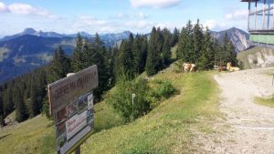 schliersee2016-088