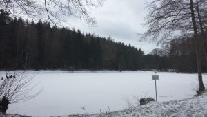 Winterlandschaft Ungerthal. Foros: Hertlein